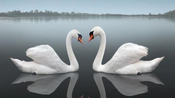 The Little Things That Can Go Unnoticed in a Relationship