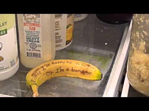 The Book Of Dreams: Vol. VI (Part II)