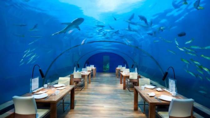 The World's Most Unique Dining Experiences