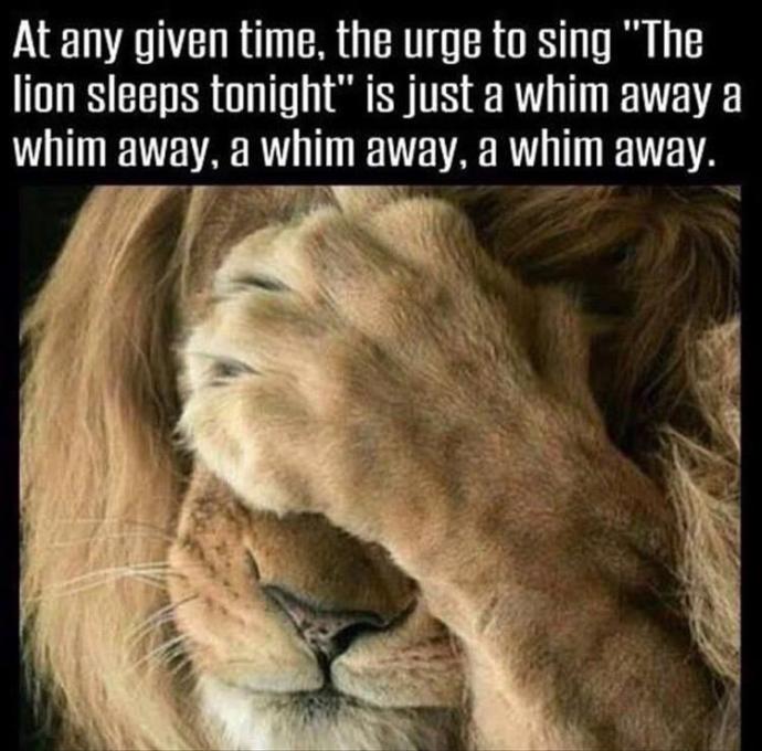 20 Cringe-y yet Hilarious Puns
