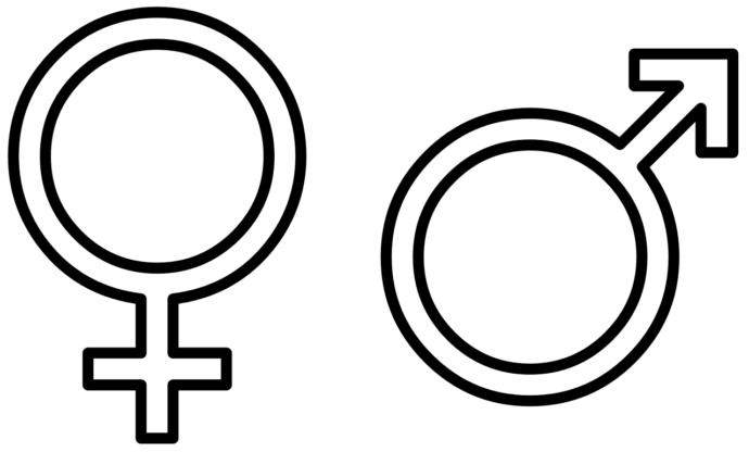 My Views on Sex Determining Genetics and Gender Politics