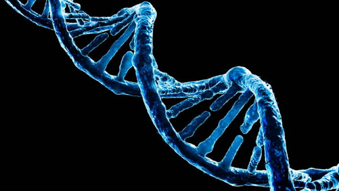 My Views on Sex Determining Genetics and Gender Politics