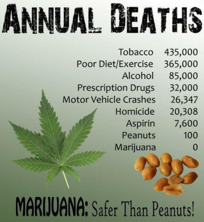I think marijuana should be legalized for so many reasons. The health aspects of it alone, what it can do for different illnesses from minor to severe
