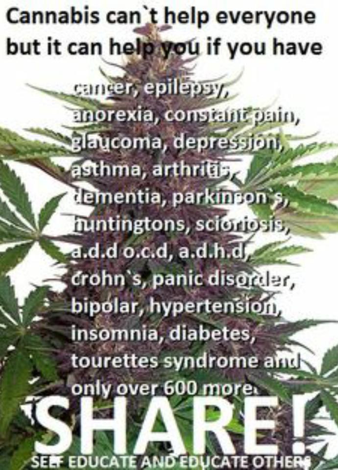 I think marijuana should be legalized for so many reasons. The health aspects of it alone, what it can do for different illnesses from minor to severe