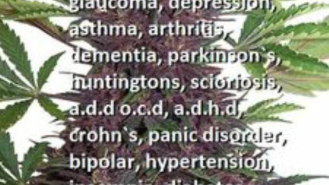 I think marijuana should be legalized for so many reasons. The health aspects of it alone, what it can do for different illnesses from minor to severe