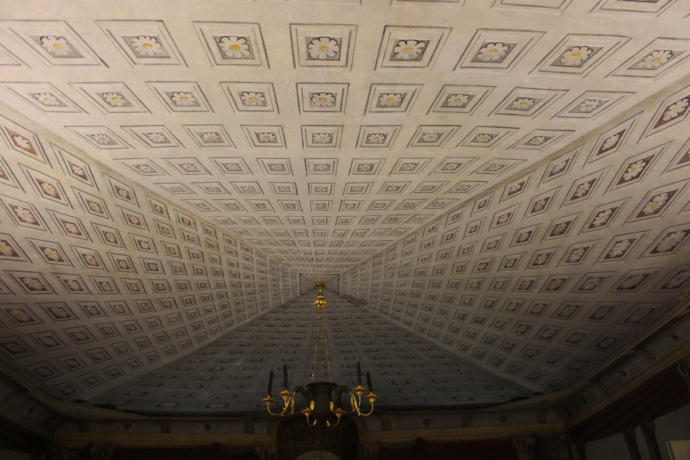 Roaming Fields - A story of an alien world