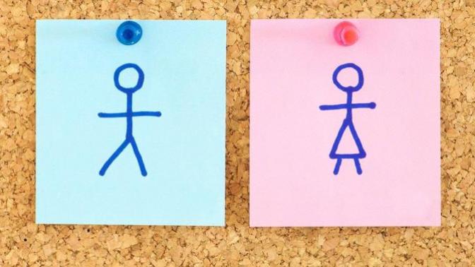 Pointlessly Gendered Products