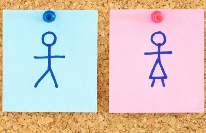 Pointlessly Gendered Products Pointlessly Gendered Products