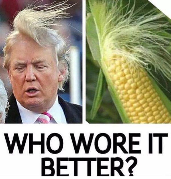 How to Survive When Life Gets Rough...