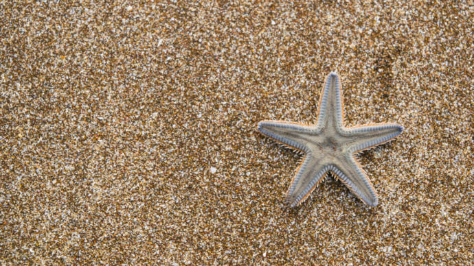 Photographs by Salil