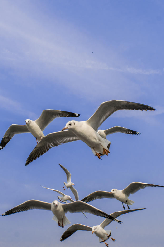 Photographs by Salil