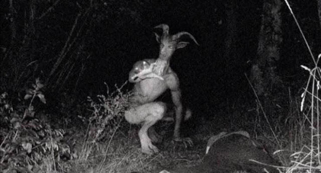 Haunted States: The Scariest Urban Legends (M)