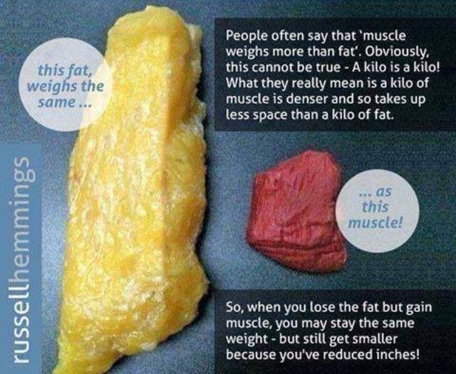8 Fitness & Weight Loss Myths Put Bluntly