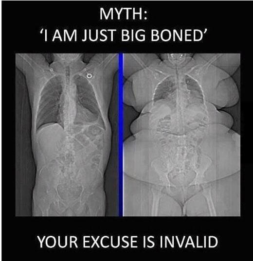 8 Fitness & Weight Loss Myths Put Bluntly