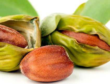 Natural Oils To Help Your Hair Out!