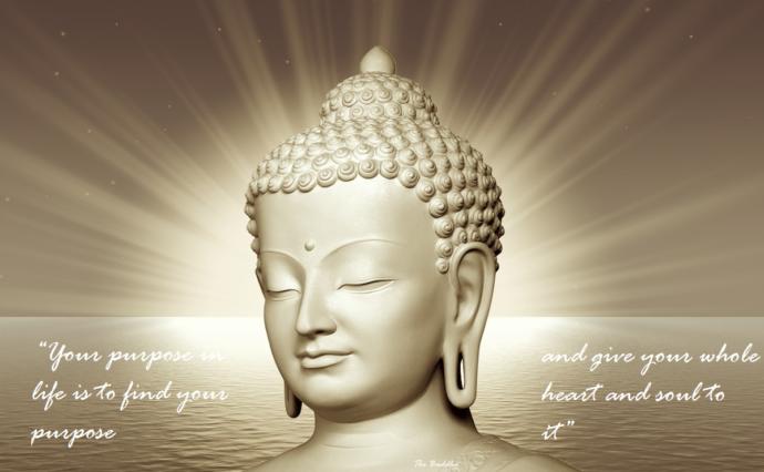 13 quotes of Buddhism, to Uplift and give a new Philosophy to Consider.