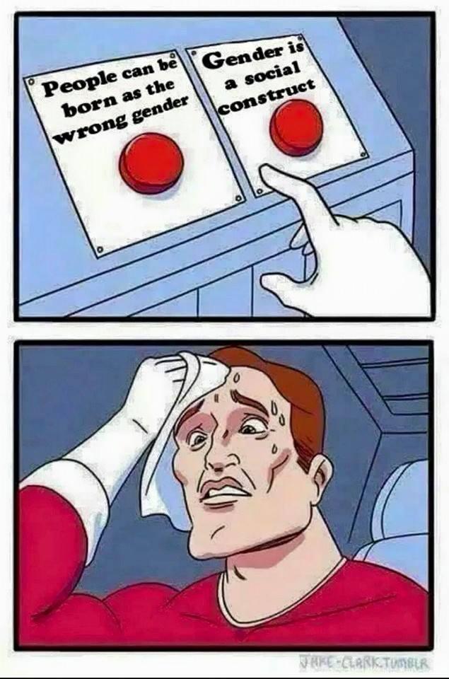 Gender is a Social Construct- But so is Everything Else