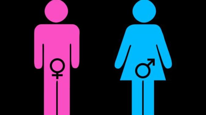 Gender is a Social Construct- But so is Everything Else