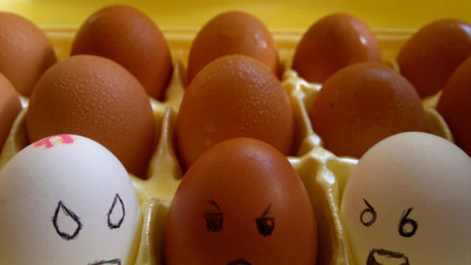 Racist Minorities, Don't Use Your Ethic Background as Evidence That You Aren't Racist...