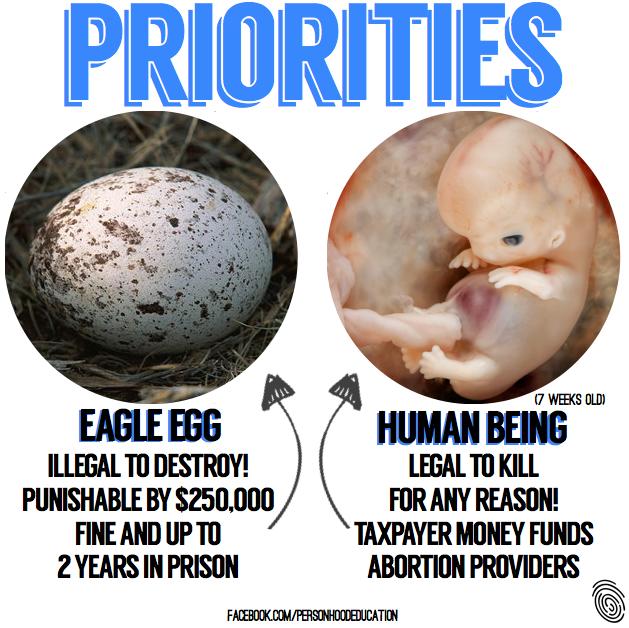 Ending The Life of A Human Fetus!