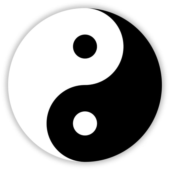 The Stupidity of the MGTOW Movement!