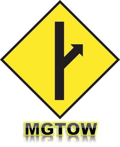 The Stupidity of the MGTOW Movement!