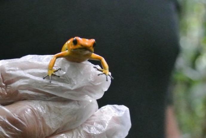 Small But Deadly: 7 Deceptively Dangerous Animals