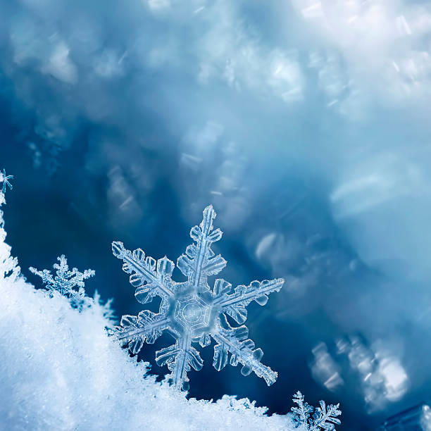 Why I hate the term "snowflake." and anything like it.