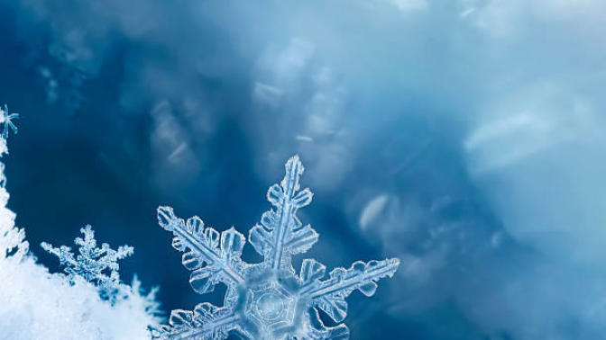 Why I Hate the Term "Snowflake" and Anything Like It.