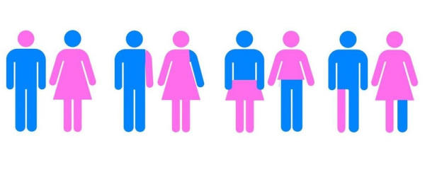 Gender Roles in the 21st Century