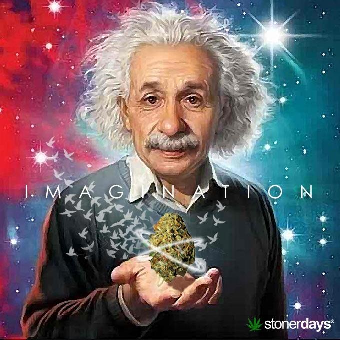 The Perfect Guy