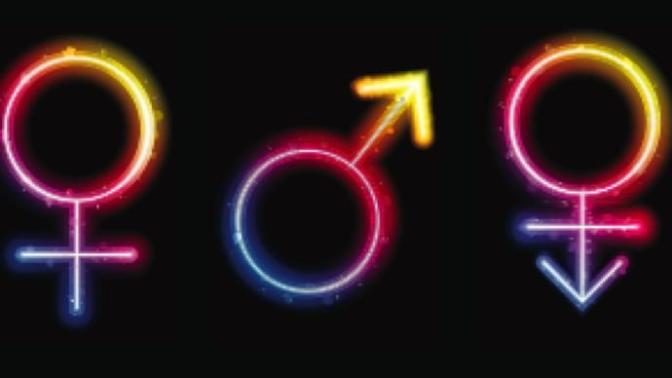 Cis People: I Hope Someday You Can Understand Us 