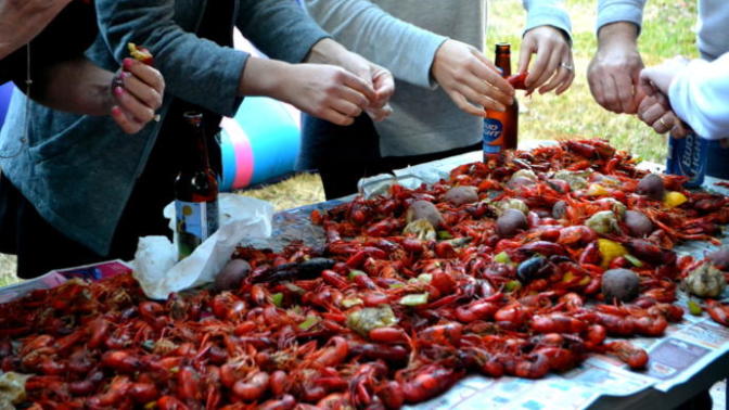 The Best Food The South Has to Offer