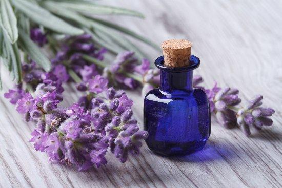 Essential Oils : Nature's Gift To Women.