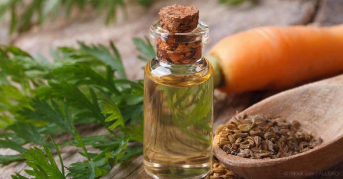 Essential Oils : Nature's Gift To Women.