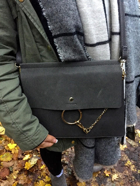 Autumnal Accessories