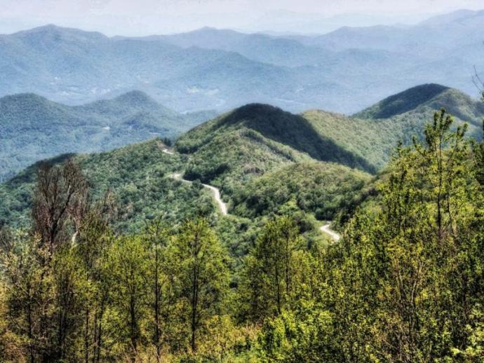 The Blue Ridge/Great Smoky Mountains and the Sierra Nevada Mountains. Two of America's great Mountain wonders.