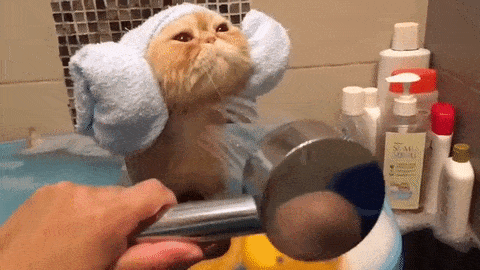 7 Happy Things I Do When I'm Depressed!