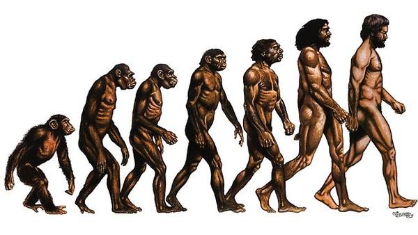 The Human Race; The Beginning of the Human Race to the Conclusion of the Human Race.