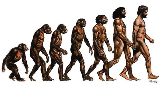 The Human Race; The Beginning of the Human Race to the Conclusion of the Human Race.