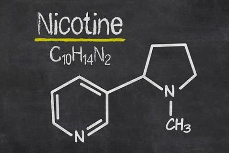 Cigarettes Are Not Just Tobacco Rolled Up in a Piece of Paper