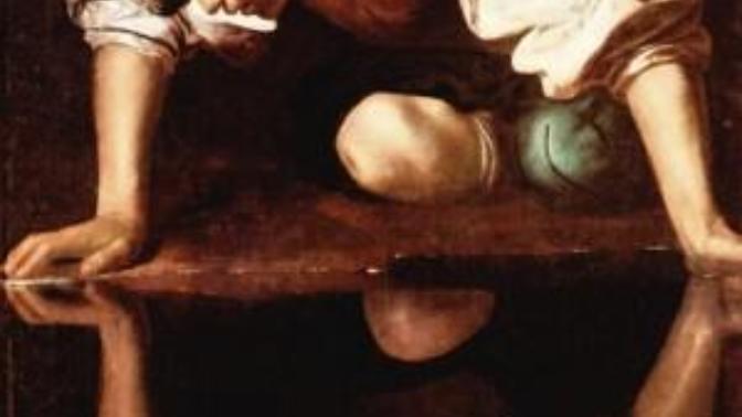 An introduction to Narcissism