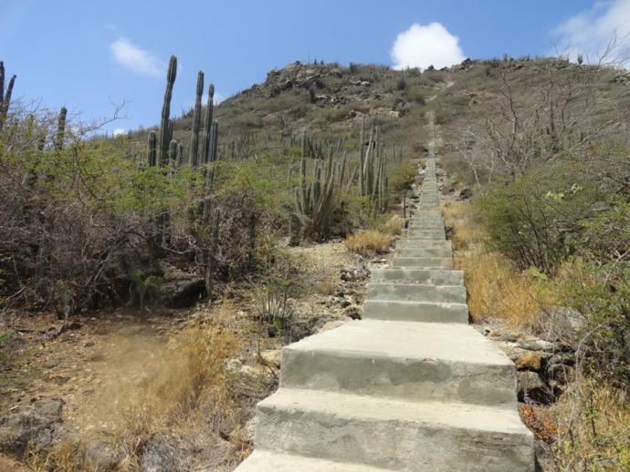 7 Things To Do In Aruba (Excluding the Beach)