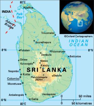 Sri Lankan Cuisine: For Food Enthusiasts