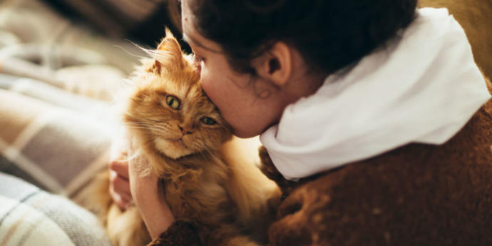 5 Reasons Why You Should Get a Cat Now!