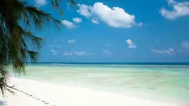 Nude Beaches in India
