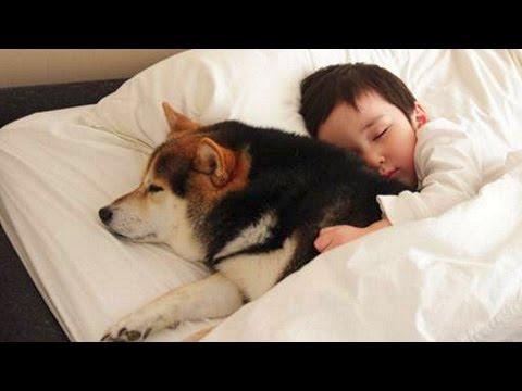 5 Reasons Why I Love Dogs