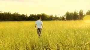 The Book Of Dreams: The End