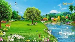 How One Lie Led To So Much Suffering. What Are Your Thoughts About How Adam And Eve Felt After Being Kicked Out Of The Garden Of Eden?
