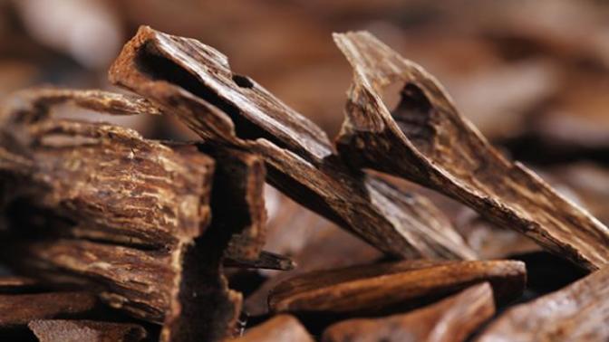 The Tom Ford Trio for Men, Part 3 - Oud Wood